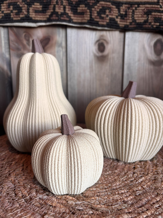 🎃 Pumpkin - Pack of 3